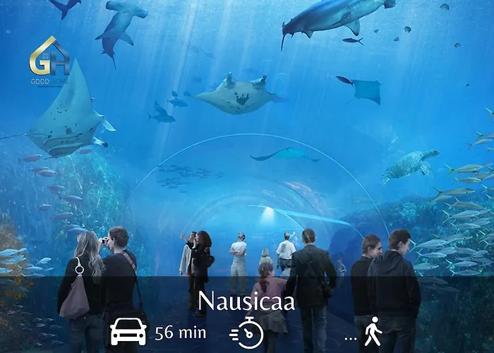 Indigo - Centre Dunkirk